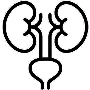 Diabetic Nephropathy Treatment