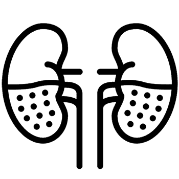 Chronic Kidney Disease Treatment